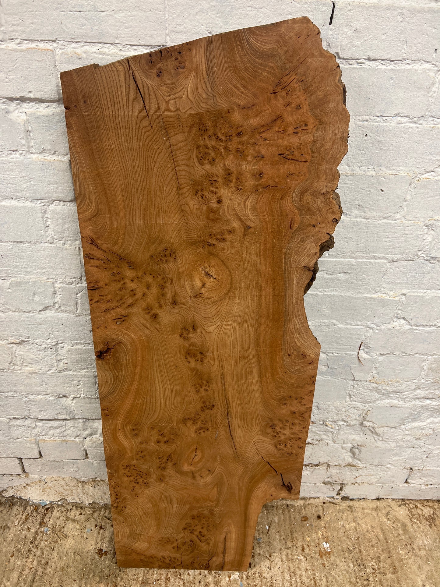 Elm No 131 - 1110x330-430x35mm Planed