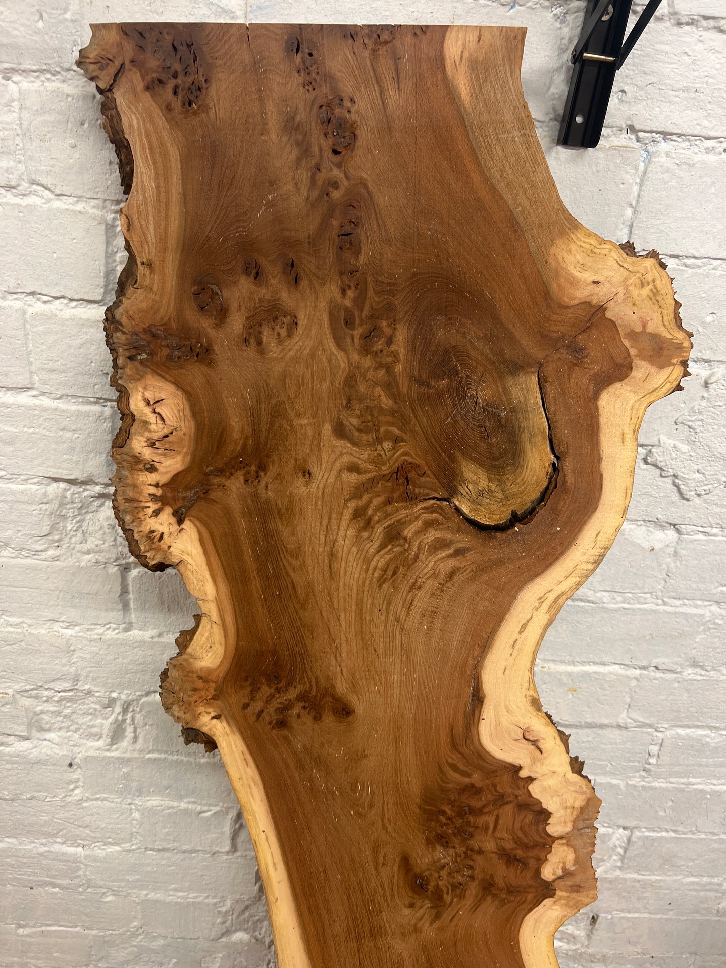 Burr Elm No 224 - 1440x260-420x43mm Planed
