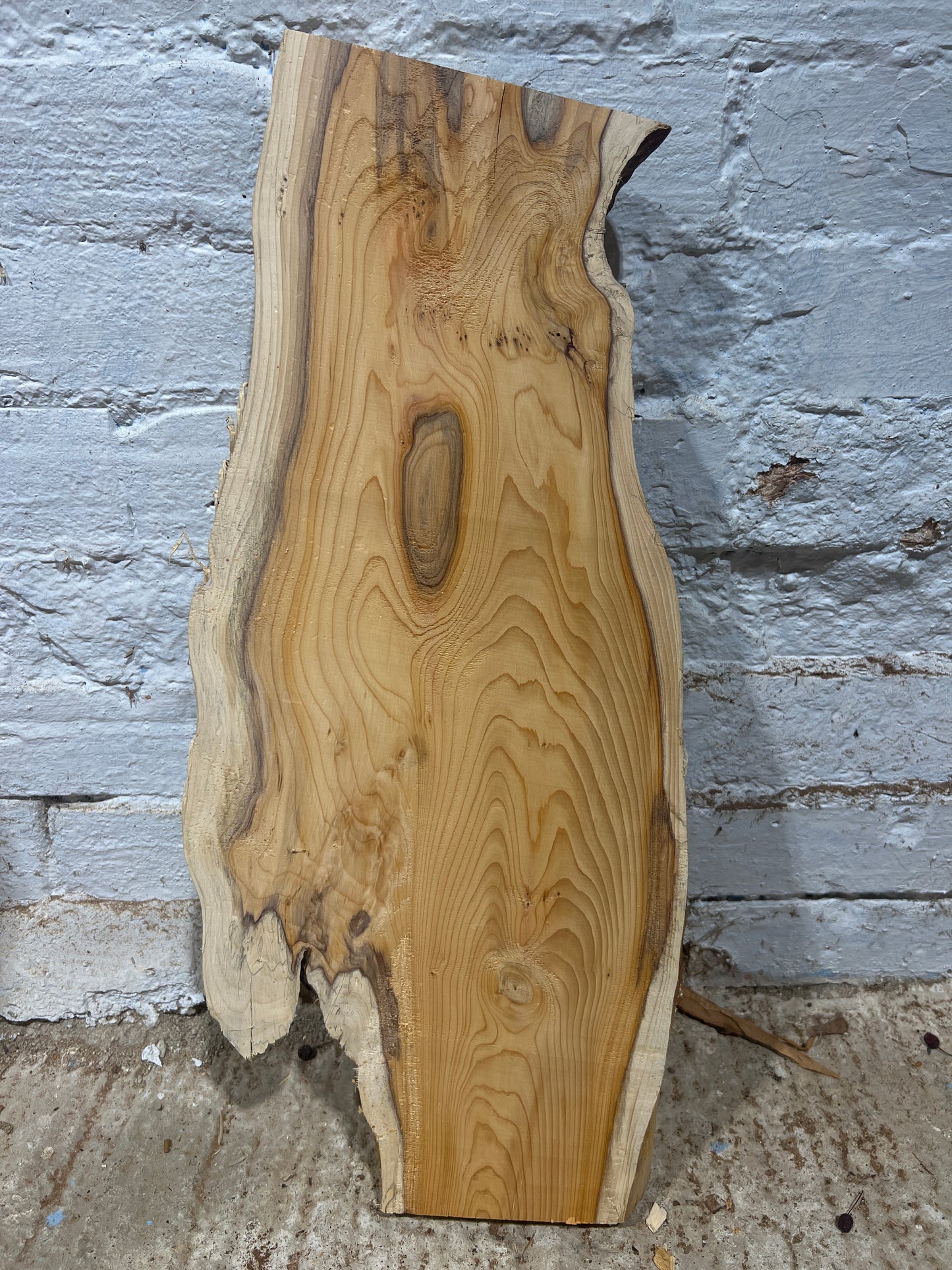 Yew No 191 - 550x130-250x45mm Planed