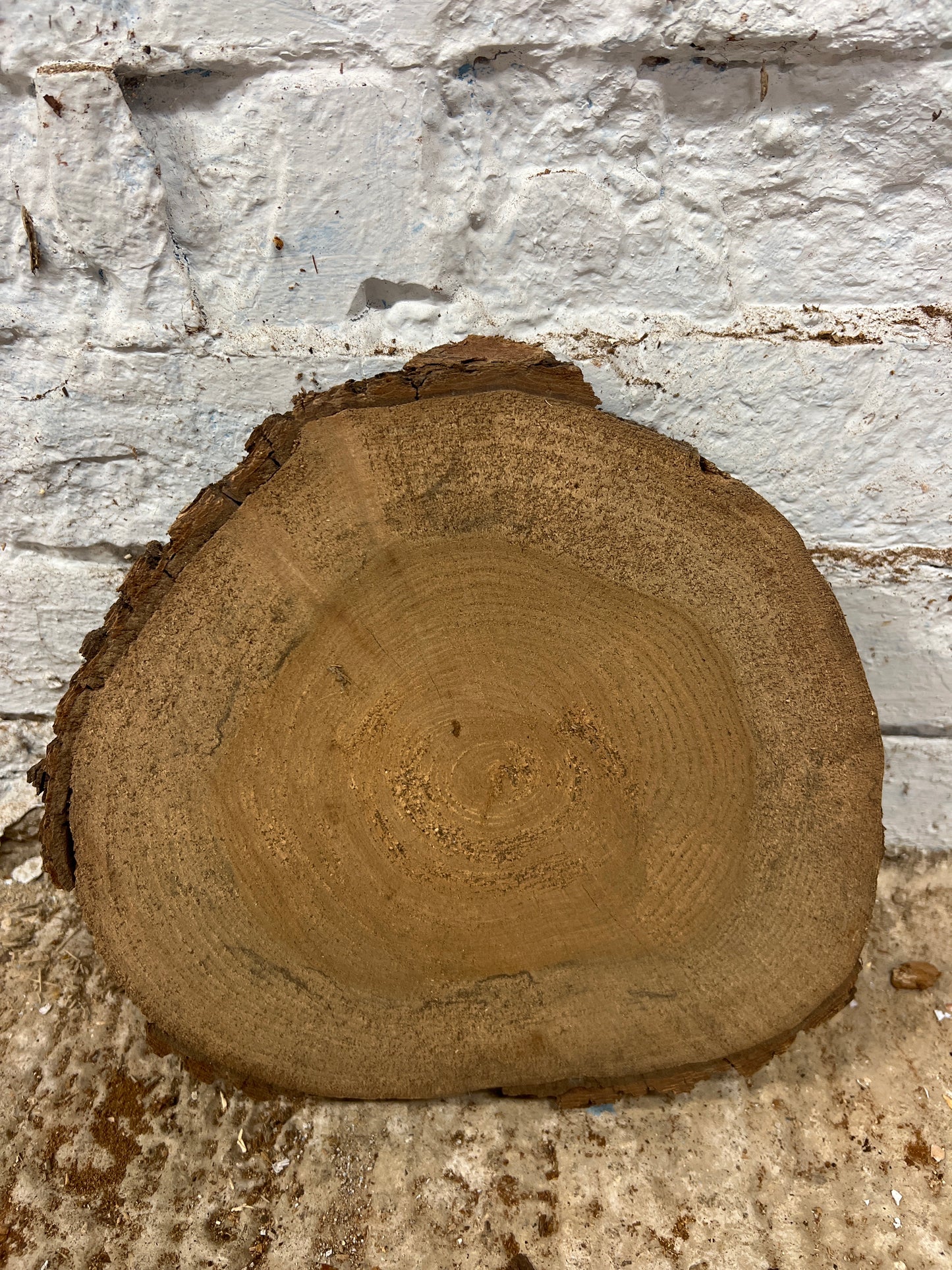 Elm No 88 - 270x240x45mm Sawn