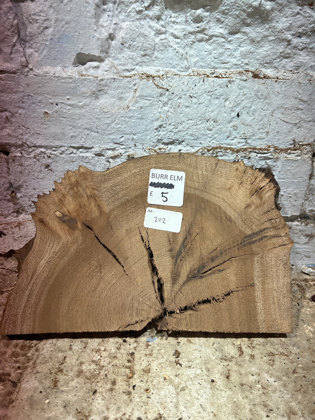 Burr Elm No 202 - 300x180x25mm Sawn