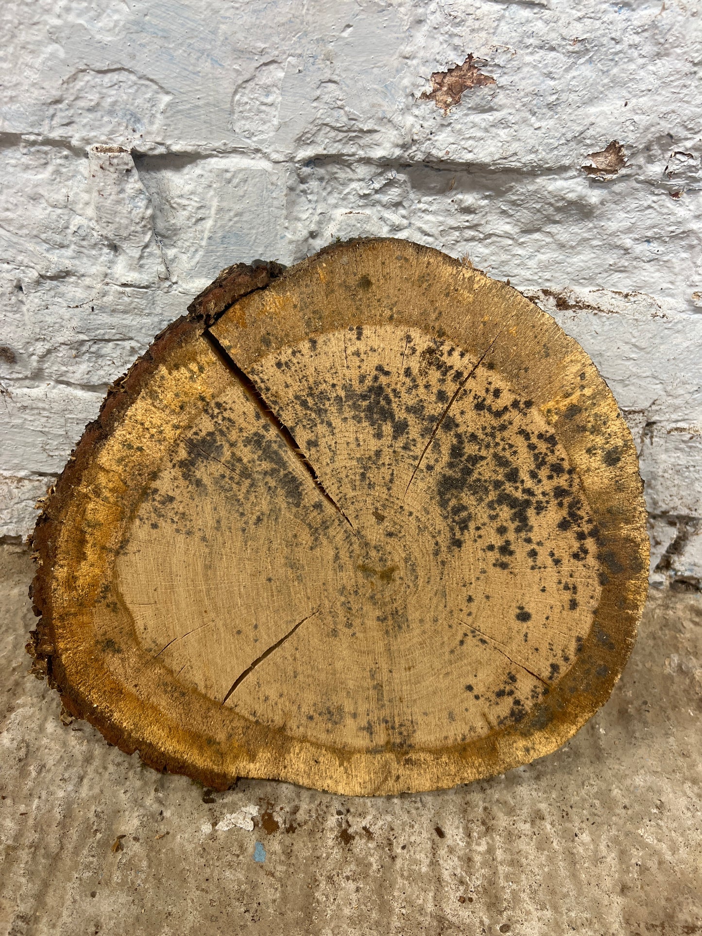 Oak No 149 - 350x320x50mm Sawn