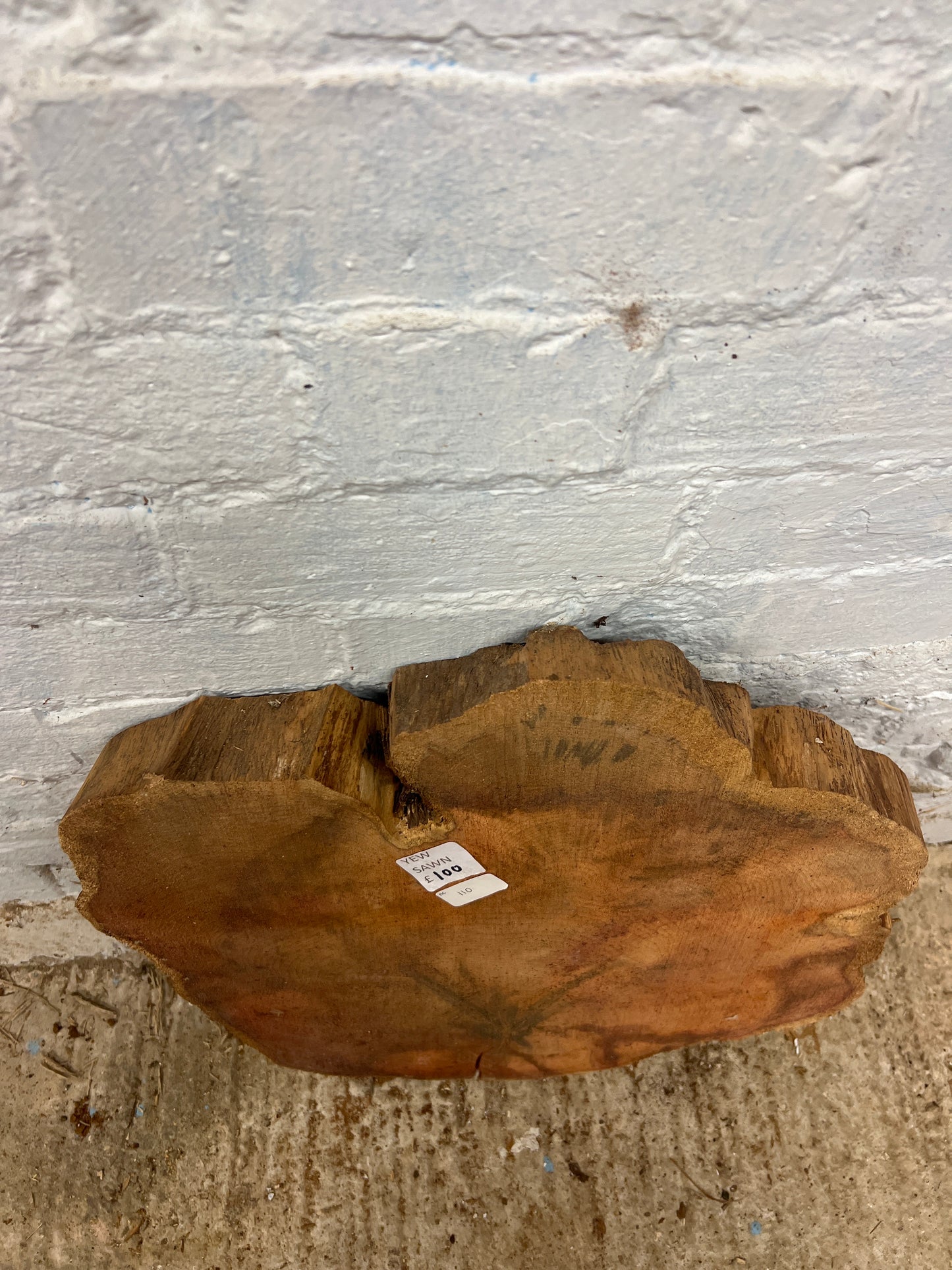 Yew No 110 - 480x490x50mm Sawn