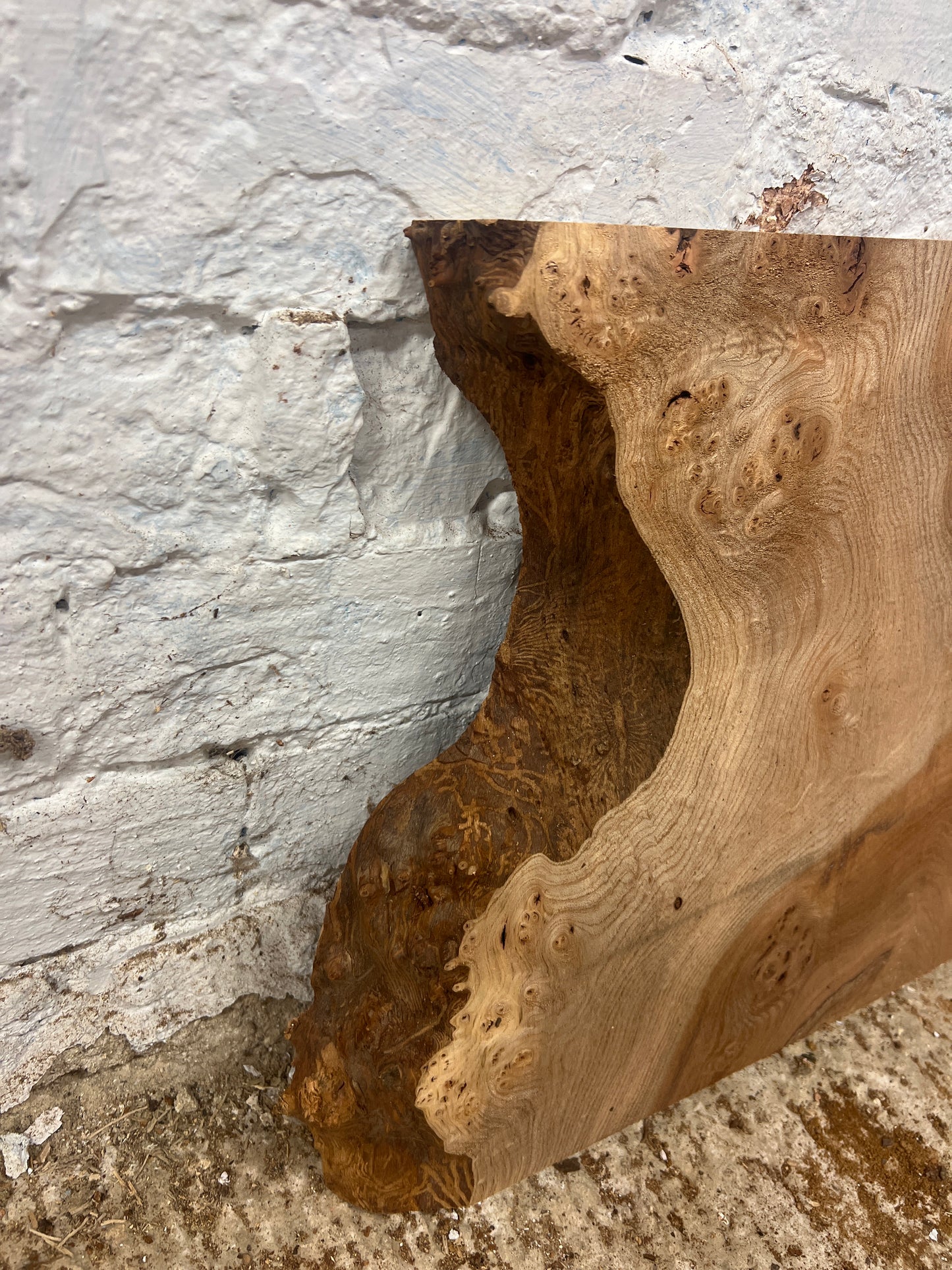 Burr Elm No 134 - 365x280-380x40mm Planed