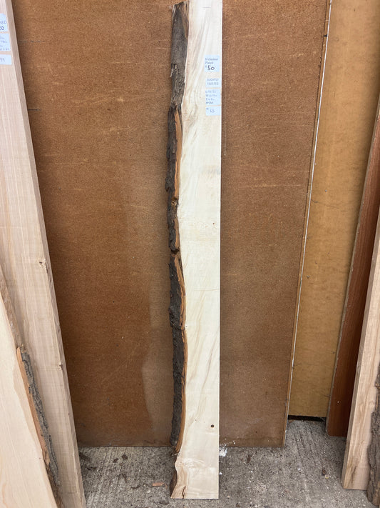 Horse Chestnut No 63 - 1565x120-170x48mm Planed