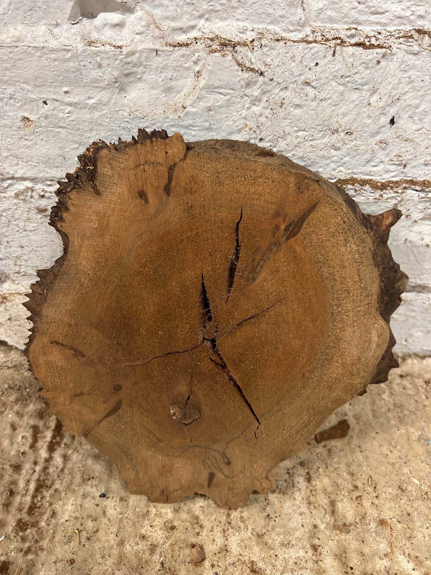 Elm No 196 - 230x230x25mm Sawn