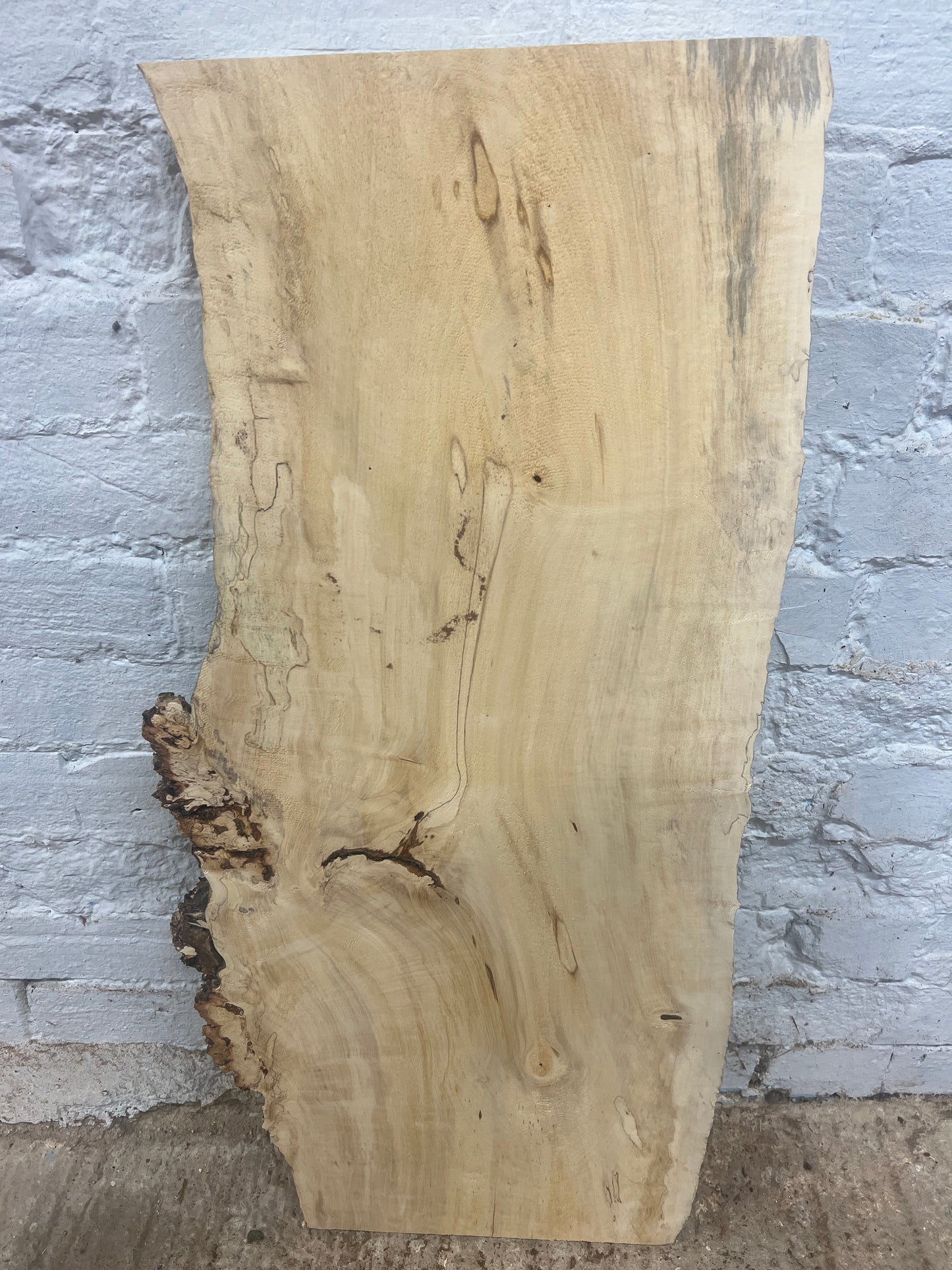 Horse Chestnut No 241 - 844x300-380x43mm Planed