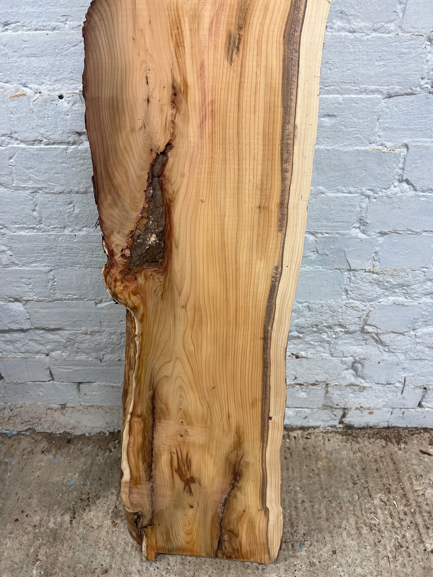 Yew No 98 - 1445x220-310x55mm Planed