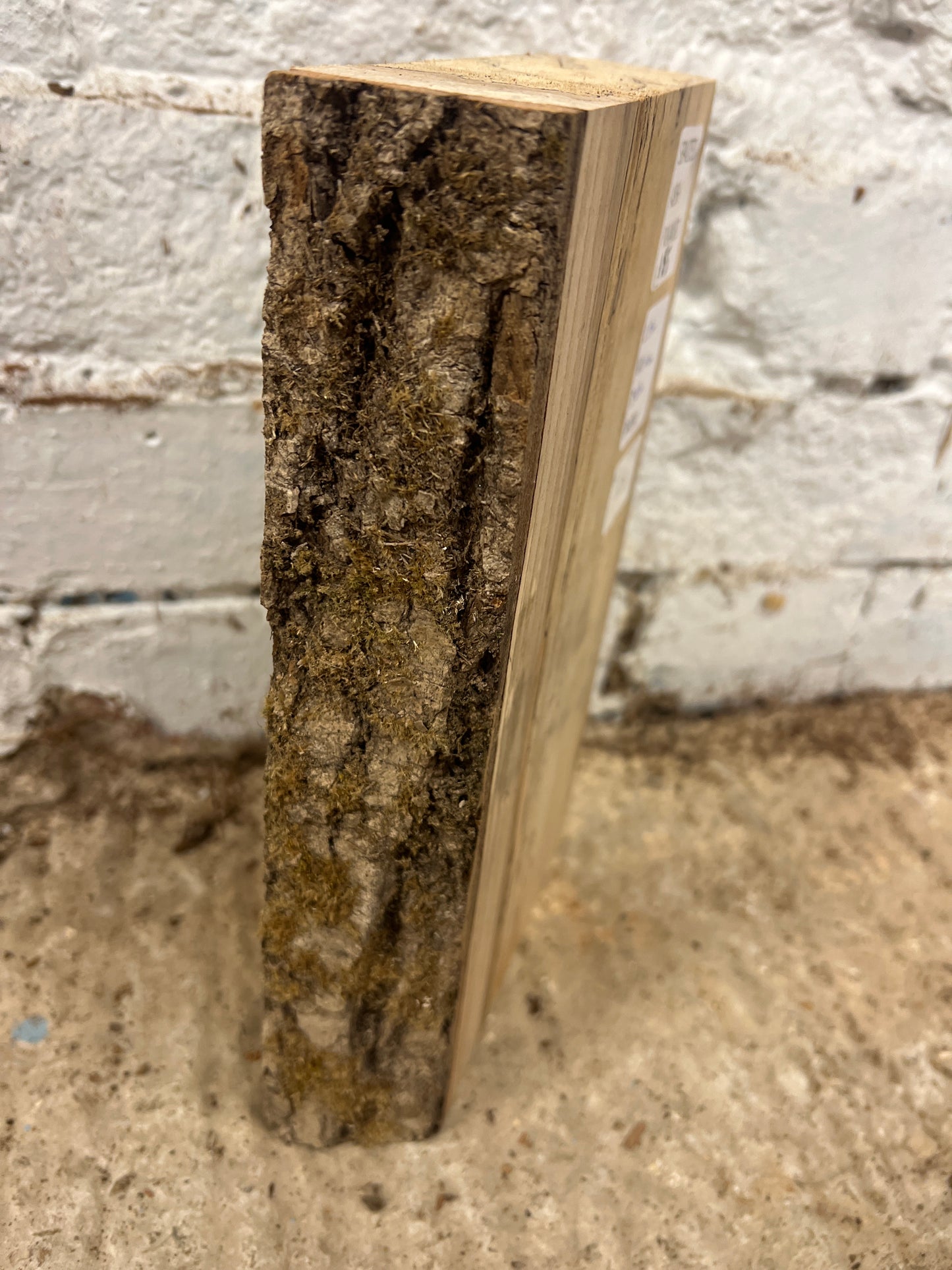 Spalted Ash No 125 - 270x150-160x49mm Planed