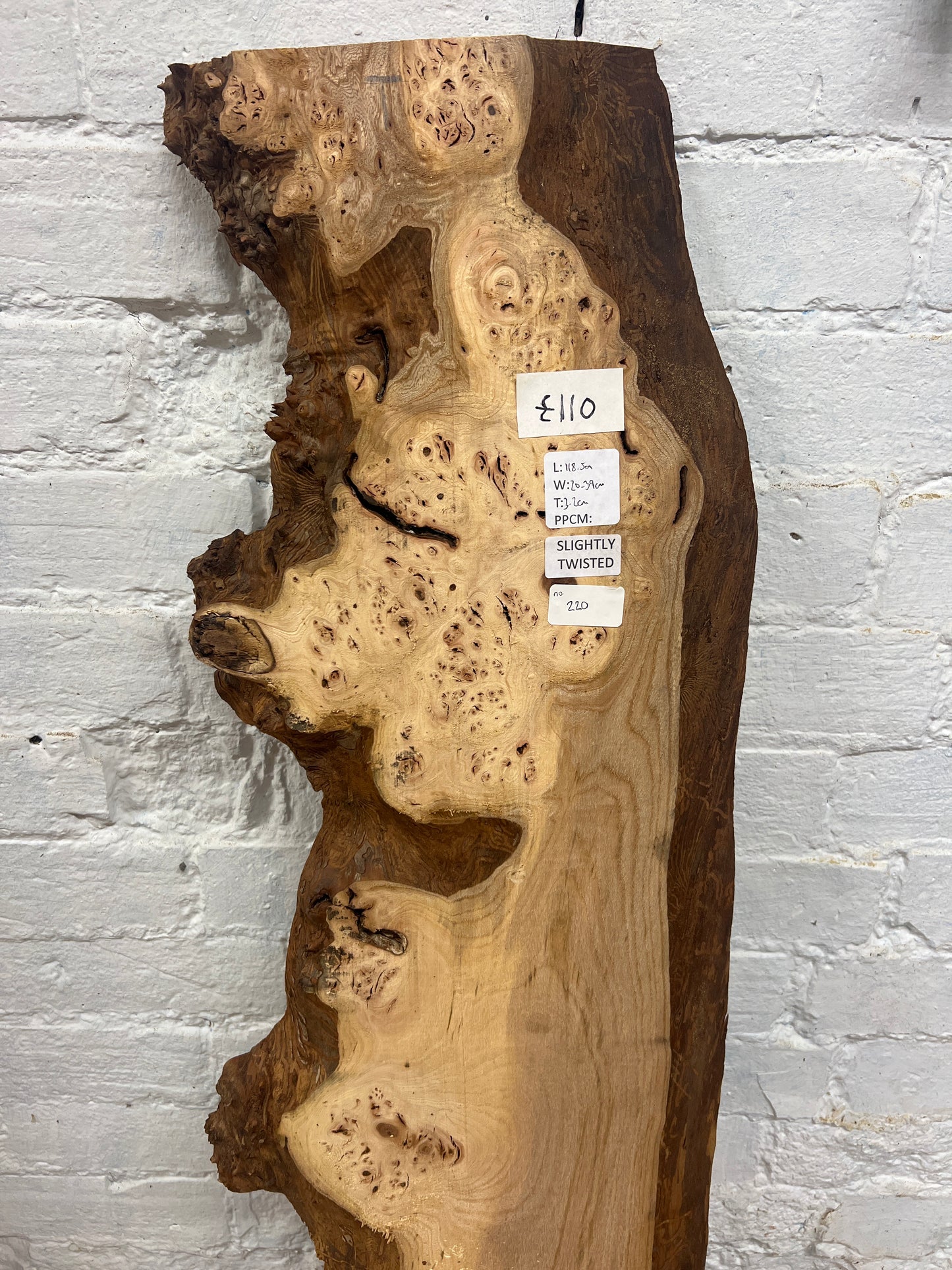 Burr Elm No 220- 1185x200-390x32mm Planed