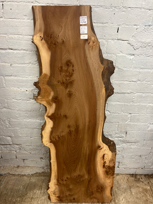 Burr Elm No 227 - 1305x310-480x43mm Planed