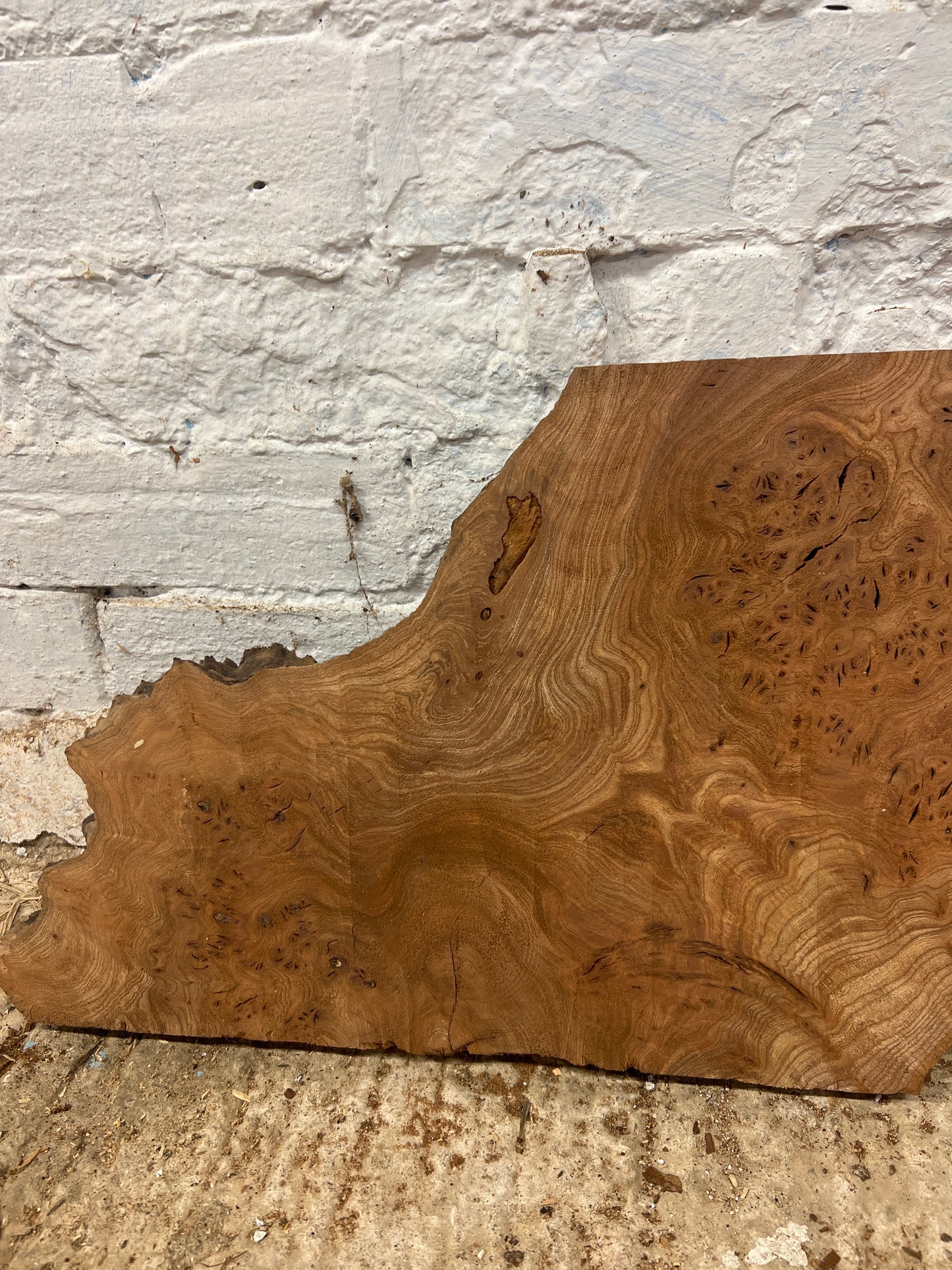 Burr Elm No 218 - 300x410-520x40mm Planed