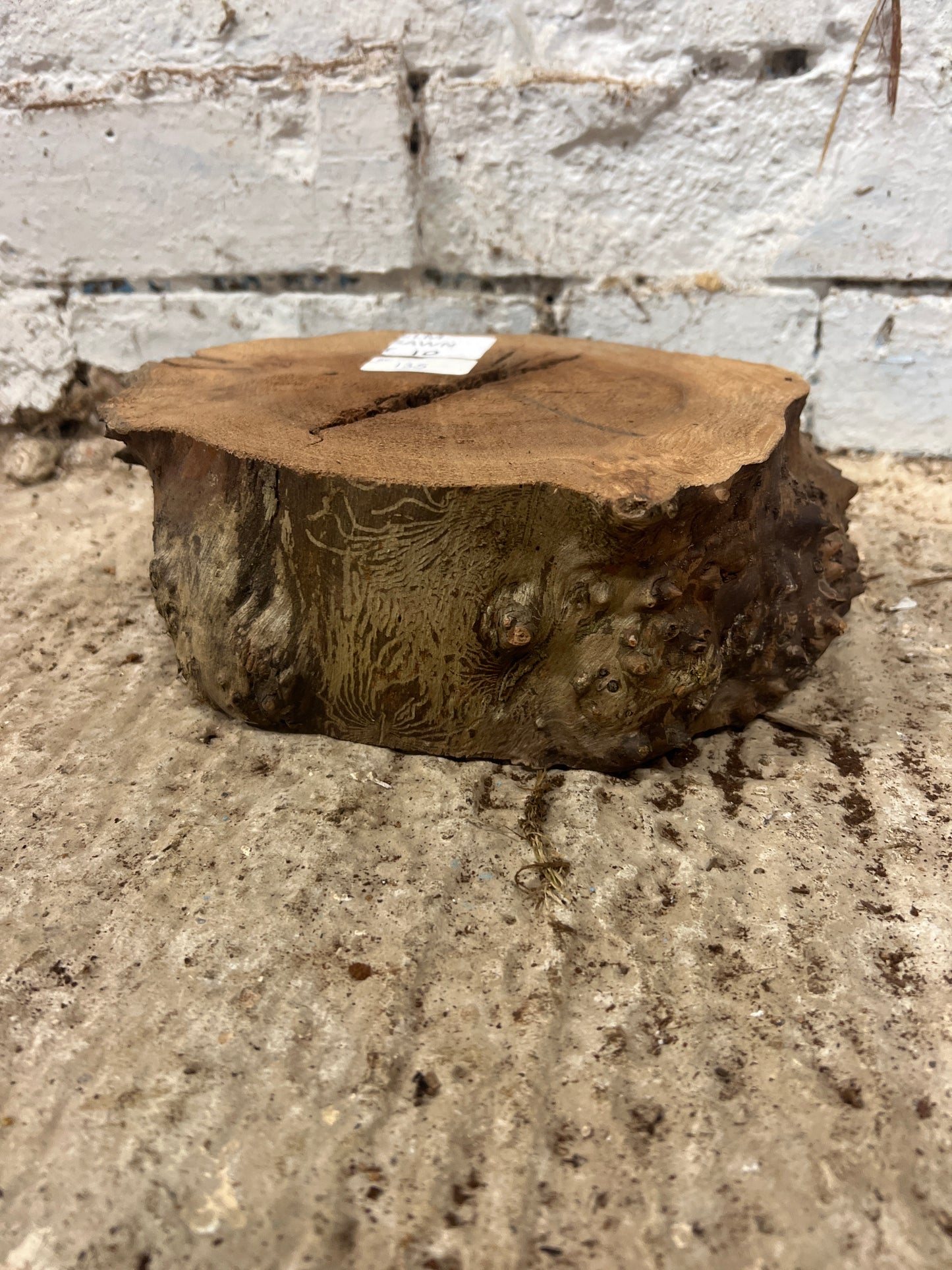 Elm No 135 - 230x180x85mm Sawn
