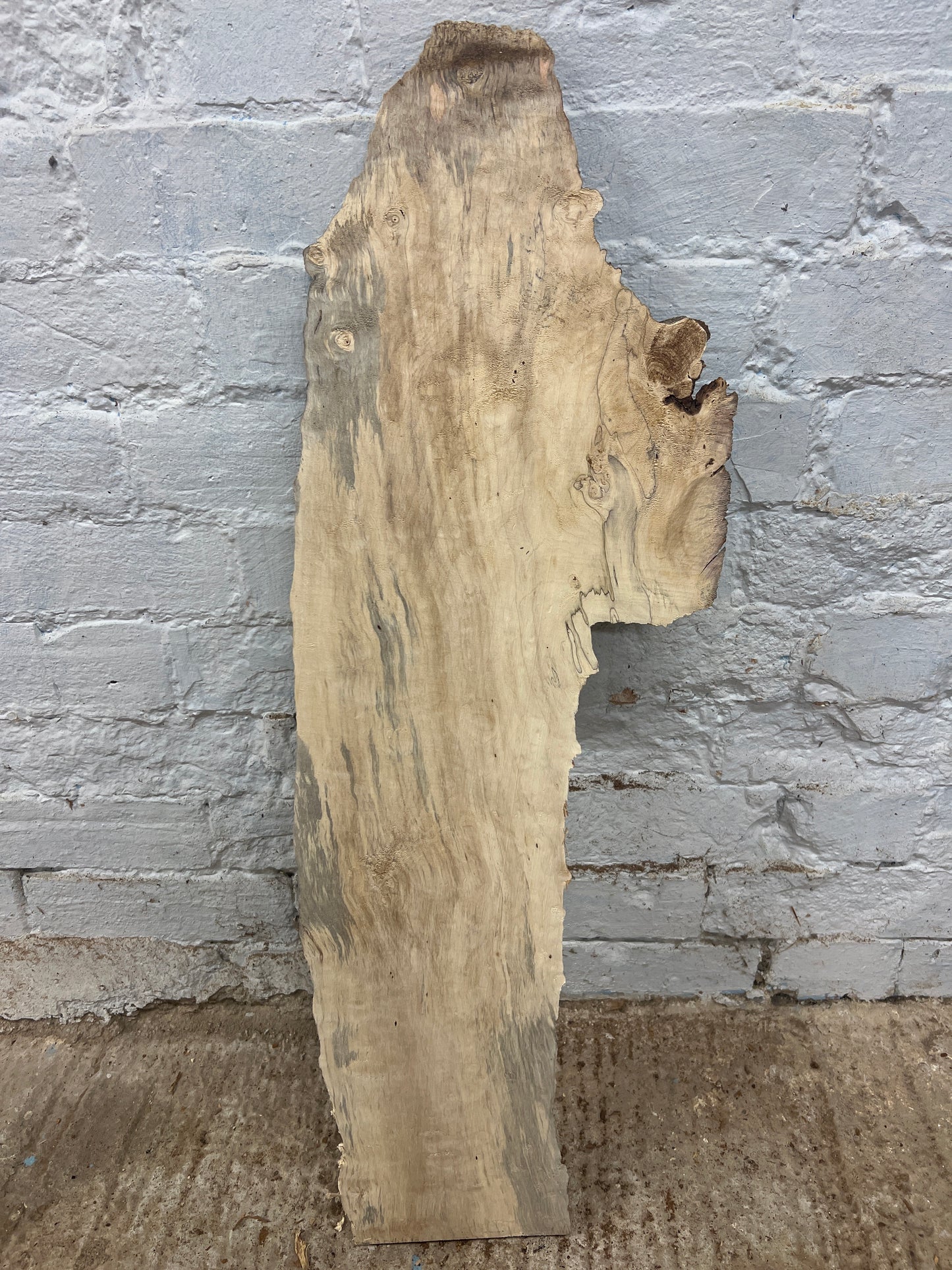 Horse Chestnut No 59 - 790x160-260x26mm Planed