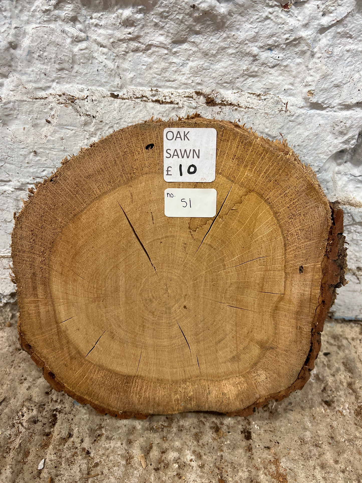 Oak Round No 51 - 270x250x50mm Sawn