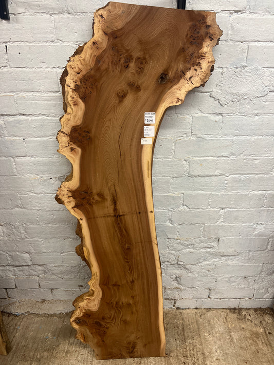 Burr Elm No 225 - 1410x290-460x35mm Planed