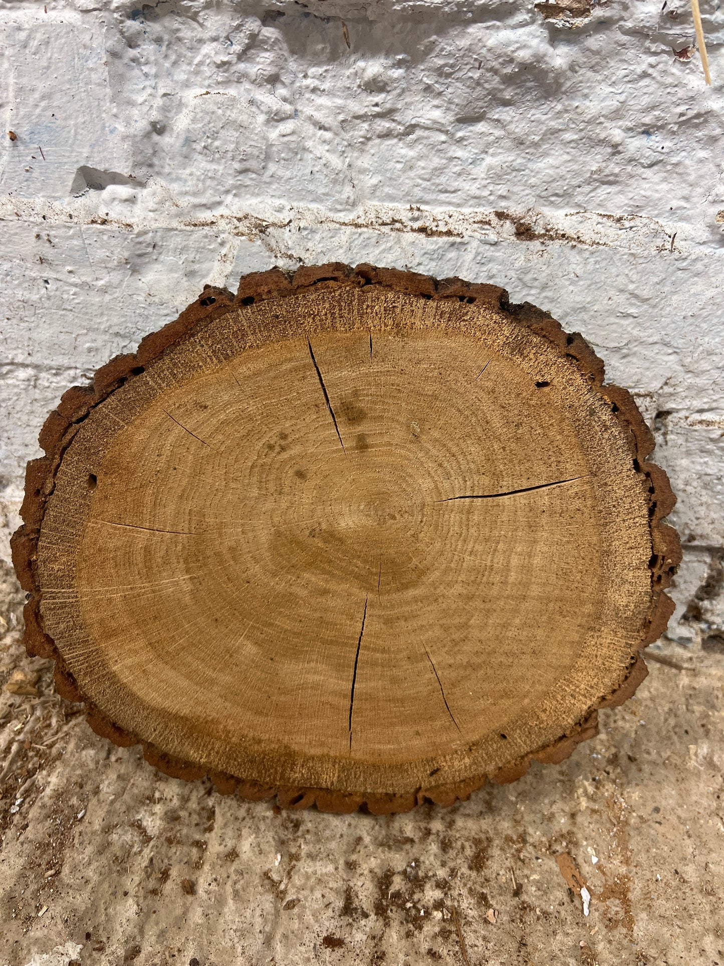 Oak No 150 - 270x240x50mm Sawn