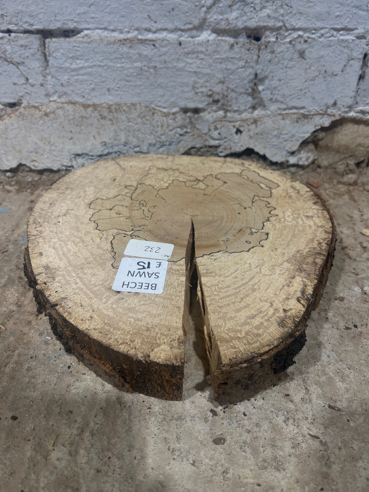 Spalted Beech Round No 232 - 280x280x45mm Sawn