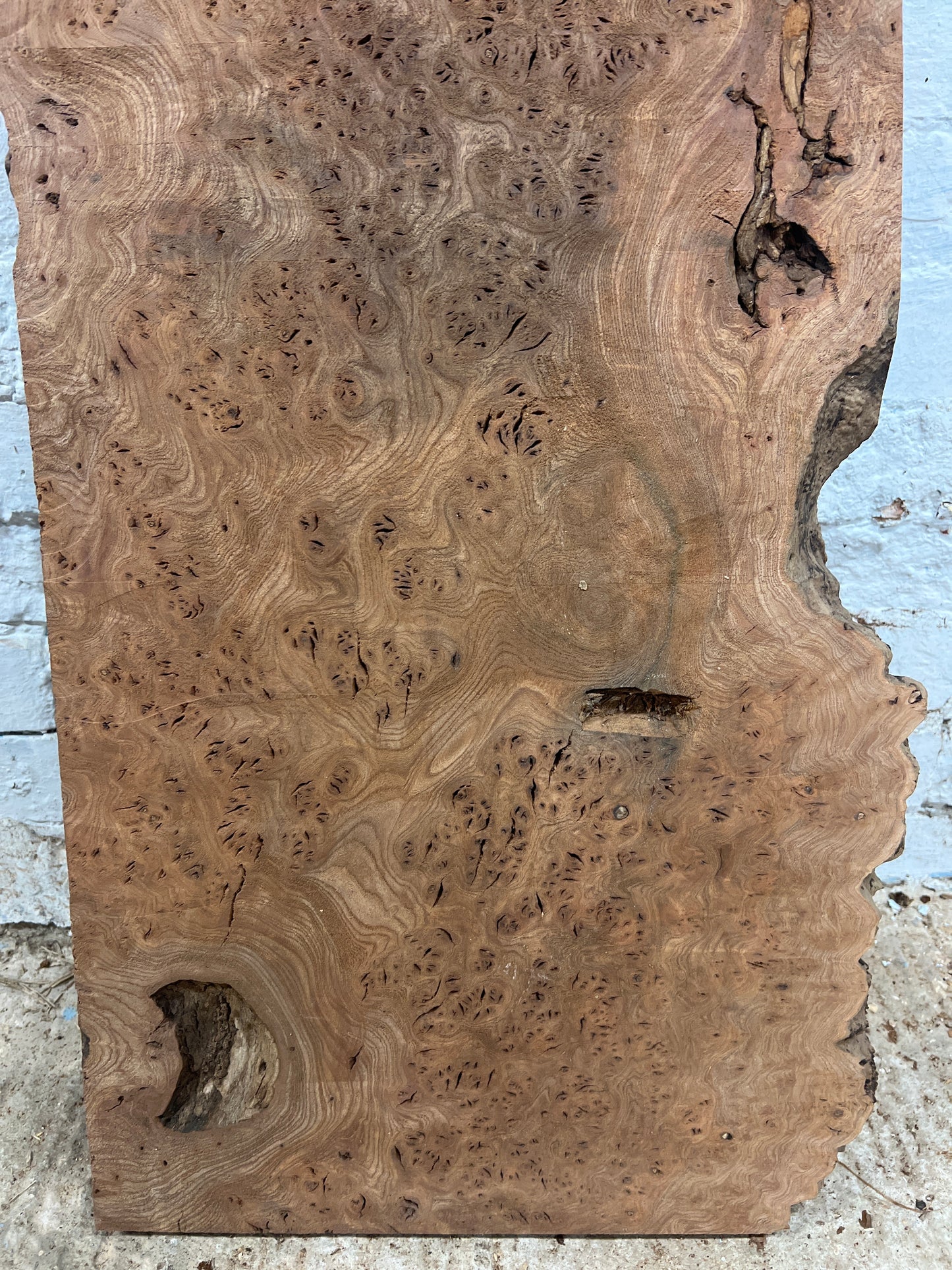 Burr Elm No 22 - 1120x310-430x38mm Planed