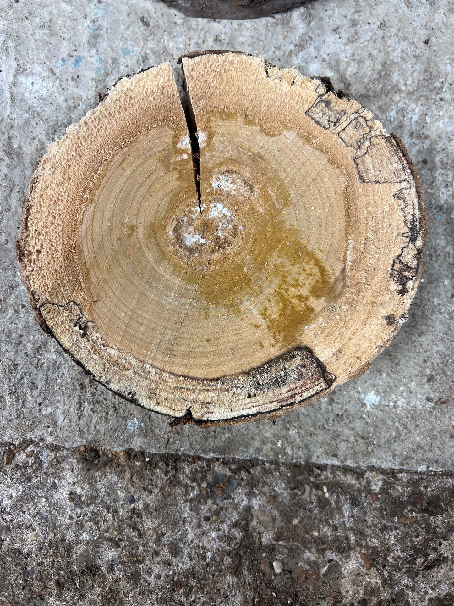 Cherry/Birch Round No 200 - 180x180x40mm Sawn