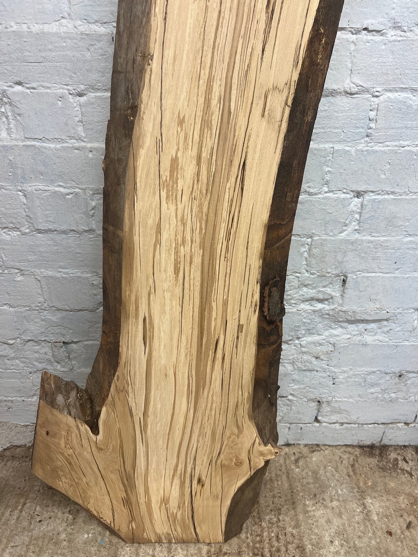 Spalted Beech No 204 - 1480x260-450x35mm Planed