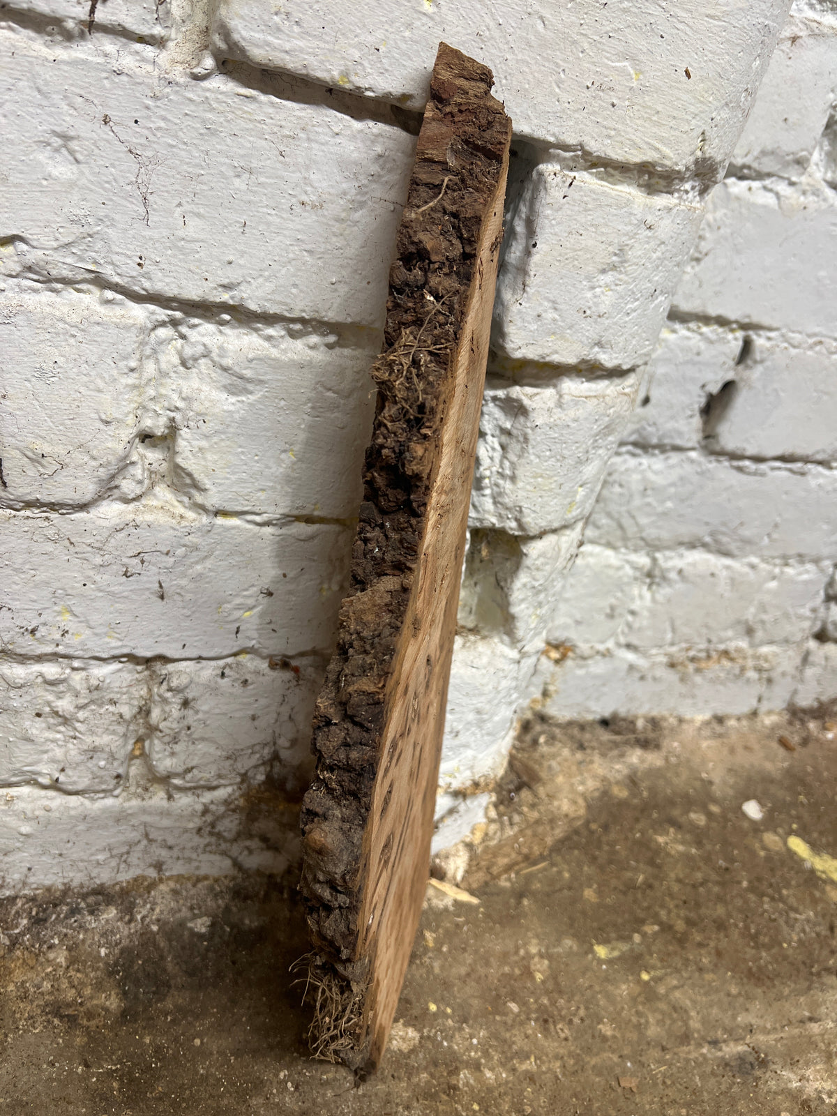 Burr Elm No 80 - 430x150x25mm Sawn