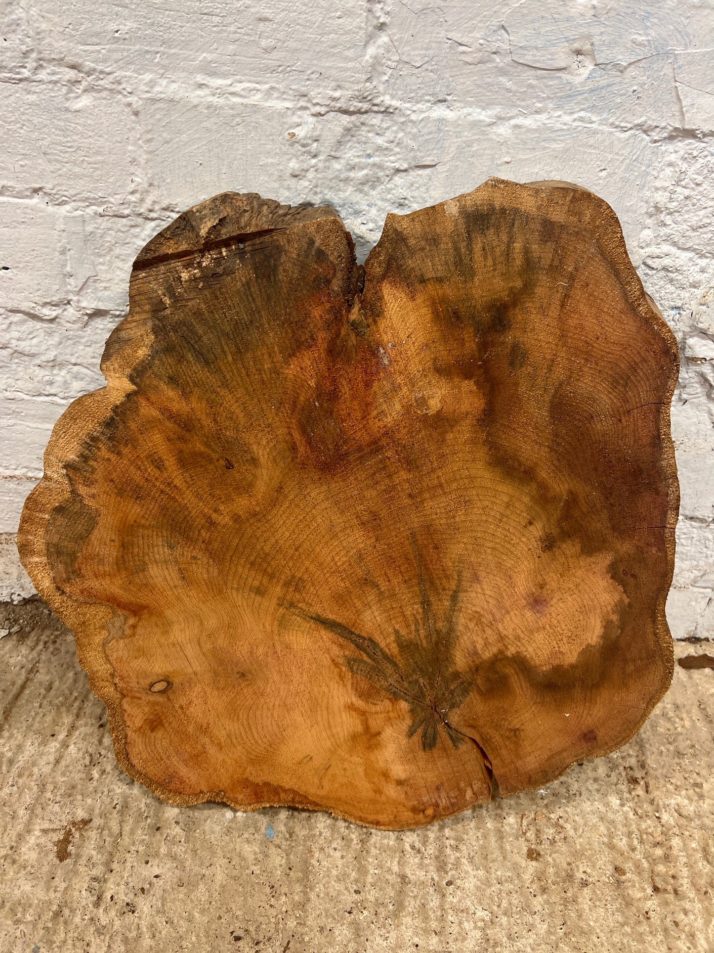 Yew No 110 - 480x480x50mm Sawn
