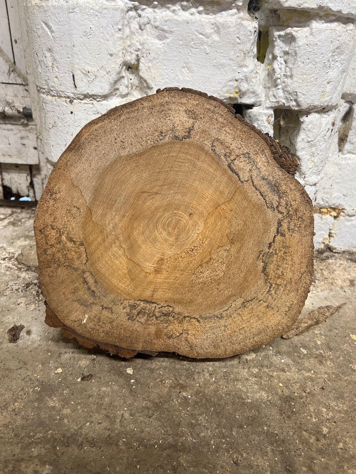 Elm No 45 - 260x280x40mm Sawn