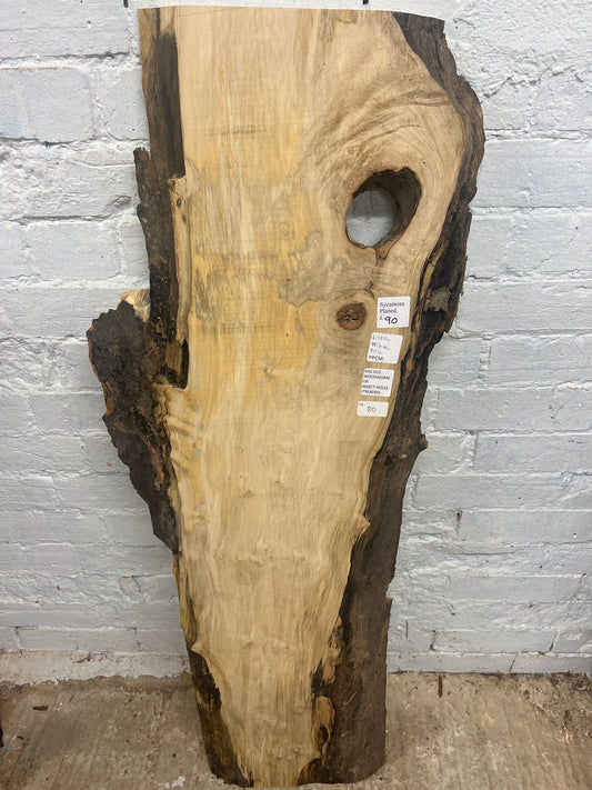 Sycamore No 80 - 1185x300-430x37mm Planed