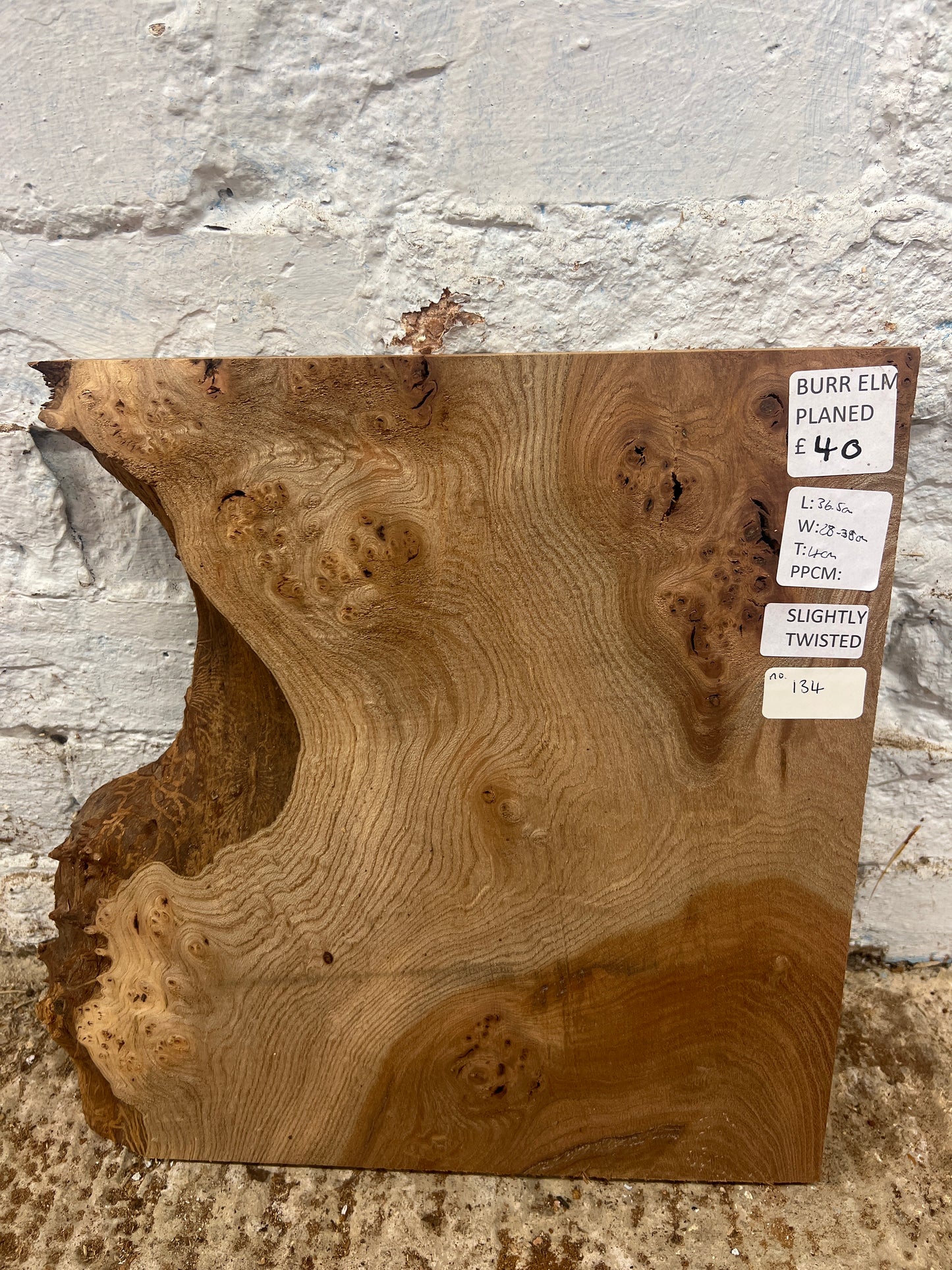 Burr Elm No 134 - 365x280-380x40mm Planed
