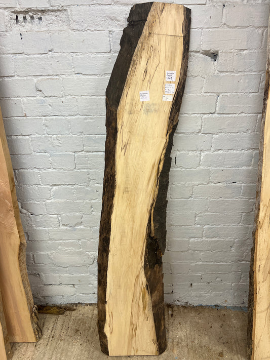 Sycamore No 7 - 1590x220-325x38mm Planed