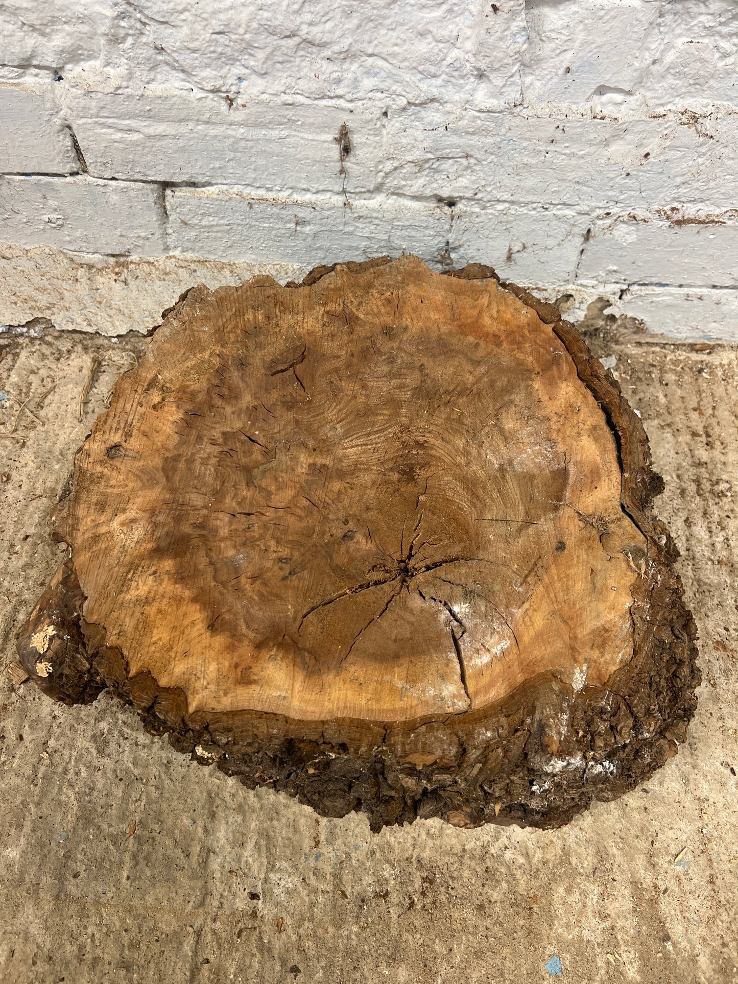 Elm No 140 - 400x370x150mm Sawn
