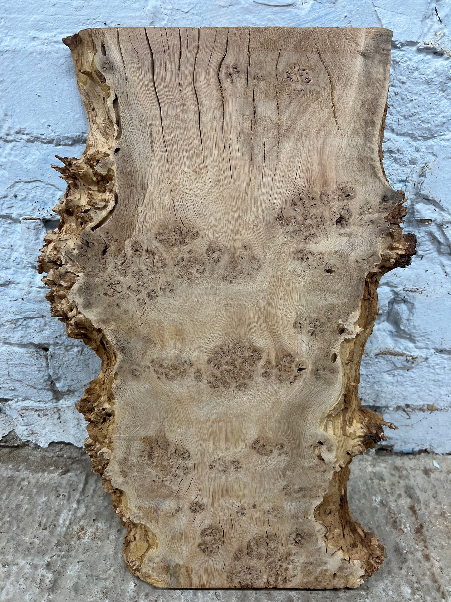 Burr Oak No 162 - 510x260-345x35mm Planed