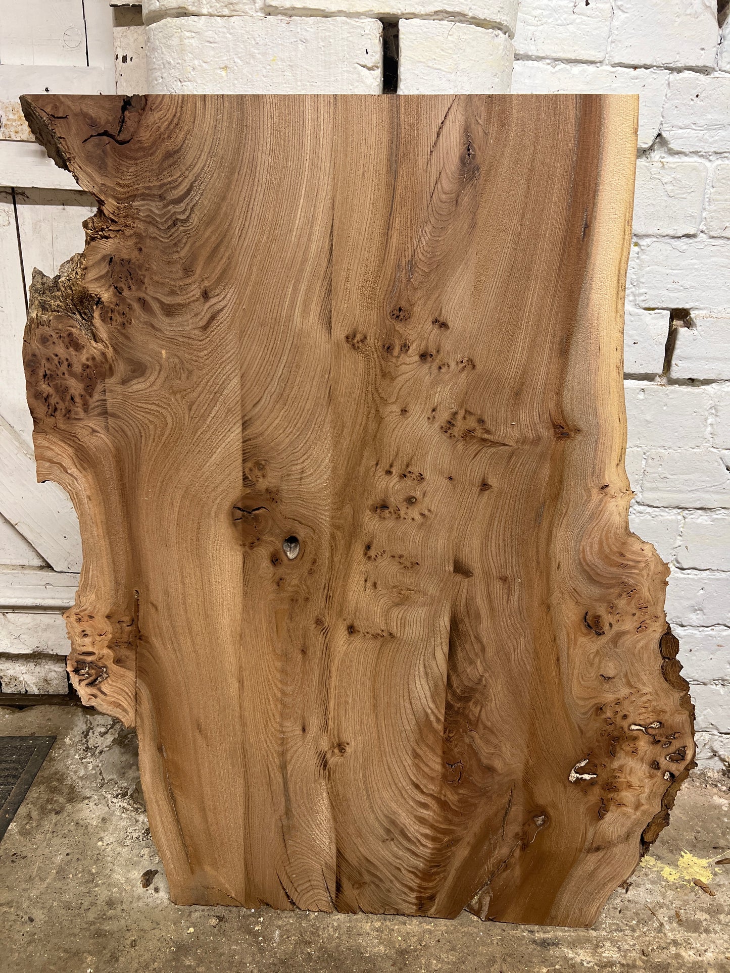 Burr Elm No 33 - 830x470-630x33mm Planed
