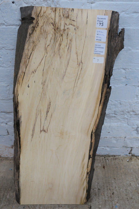 Sycamore No 7 - 816x330-370x38mm Planed
