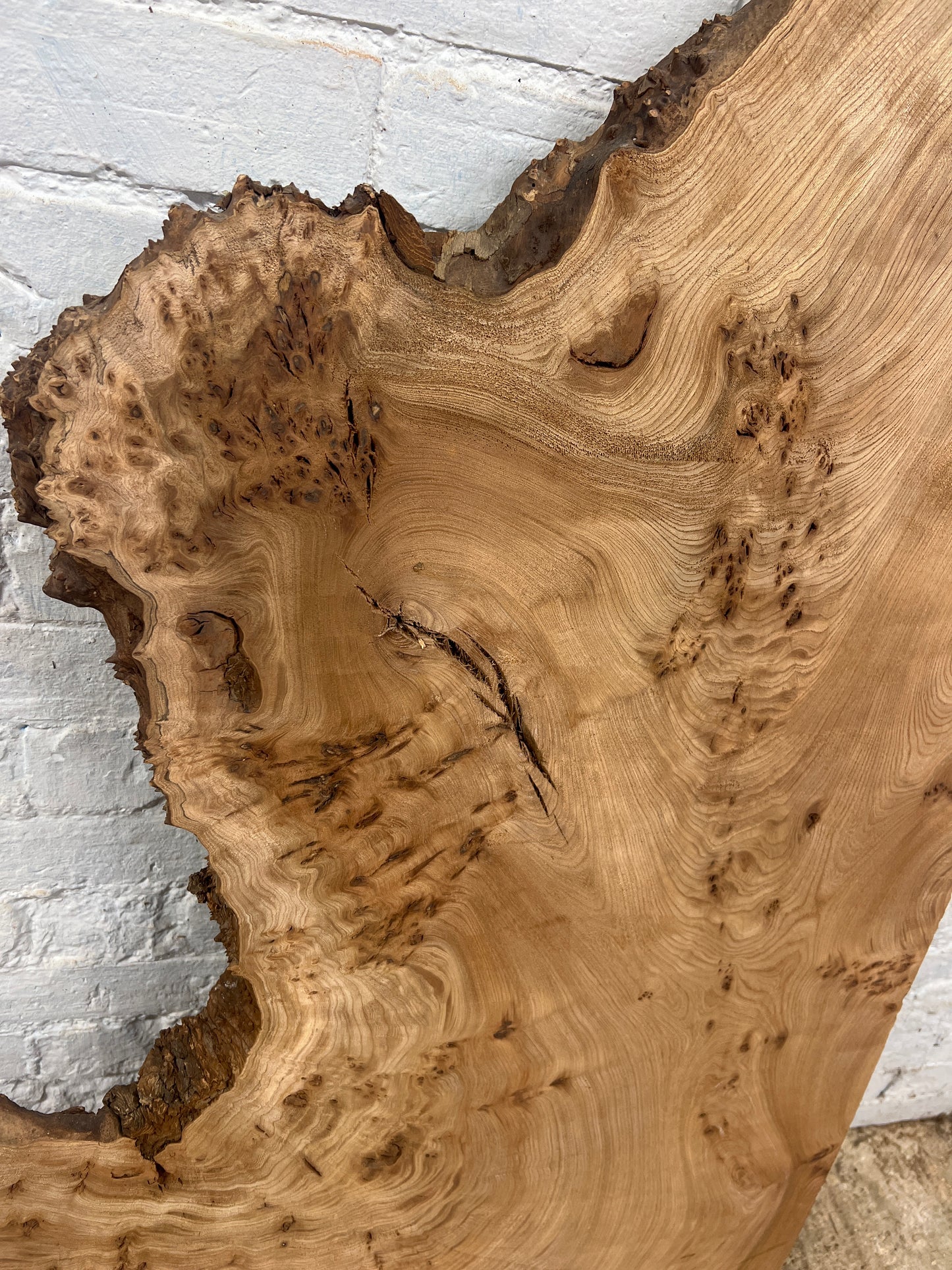 Burr Elm No 221- 1480x530-680x35mm Planed