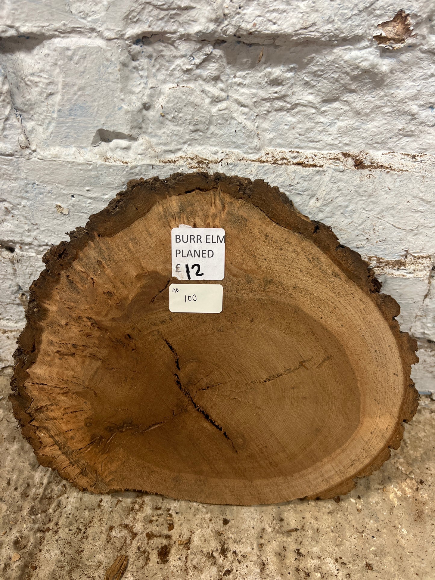 Burr Elm No 100 - 300x260x30mm Sawn