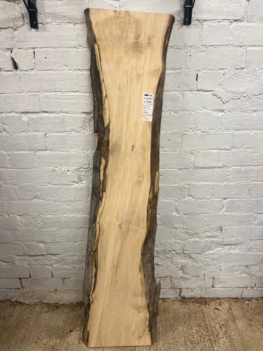 Sycamore No 113 - 1432x260-360x40mm Planed