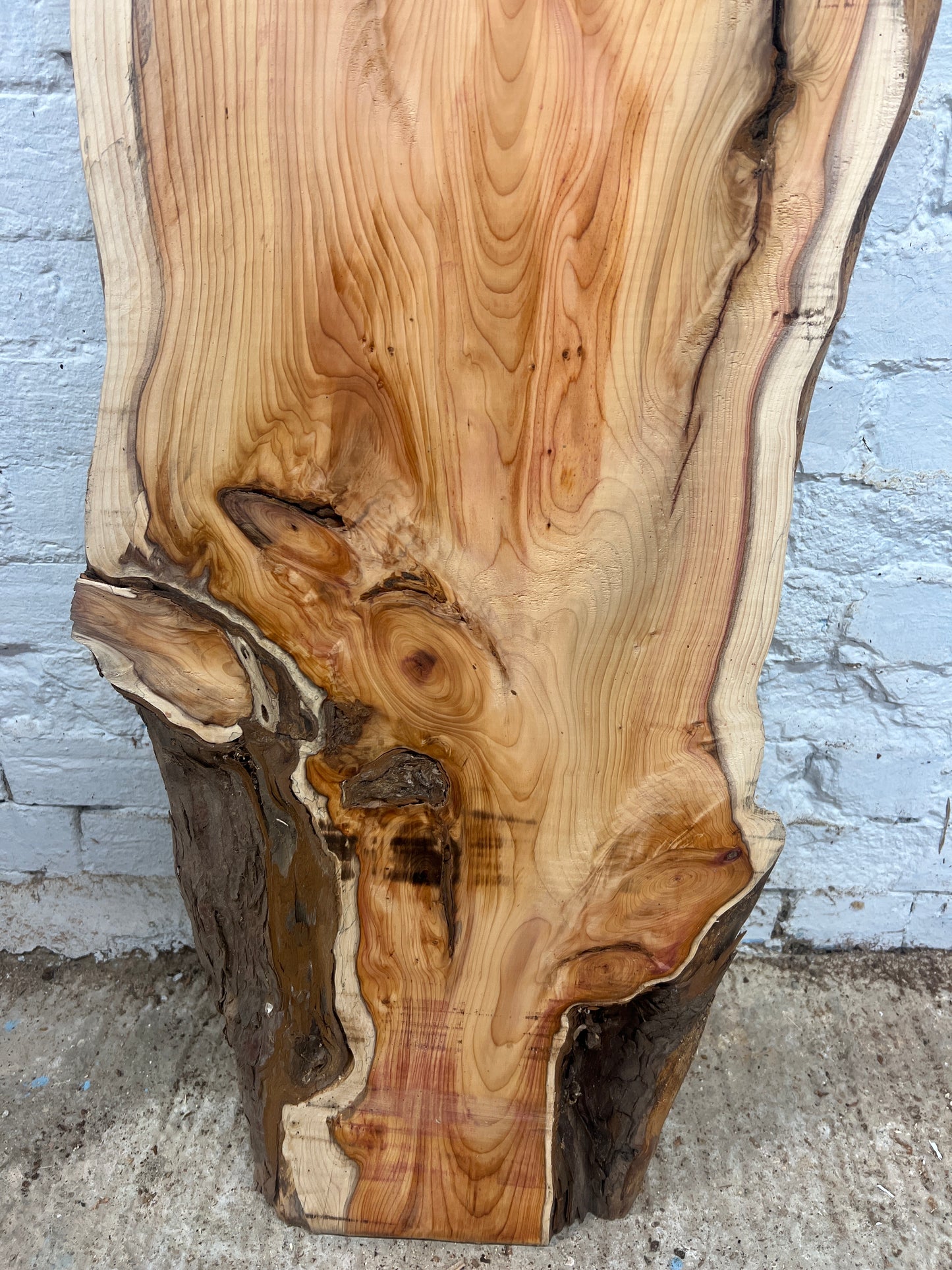 Yew No 14 - 1450x290-450x40mm Planed