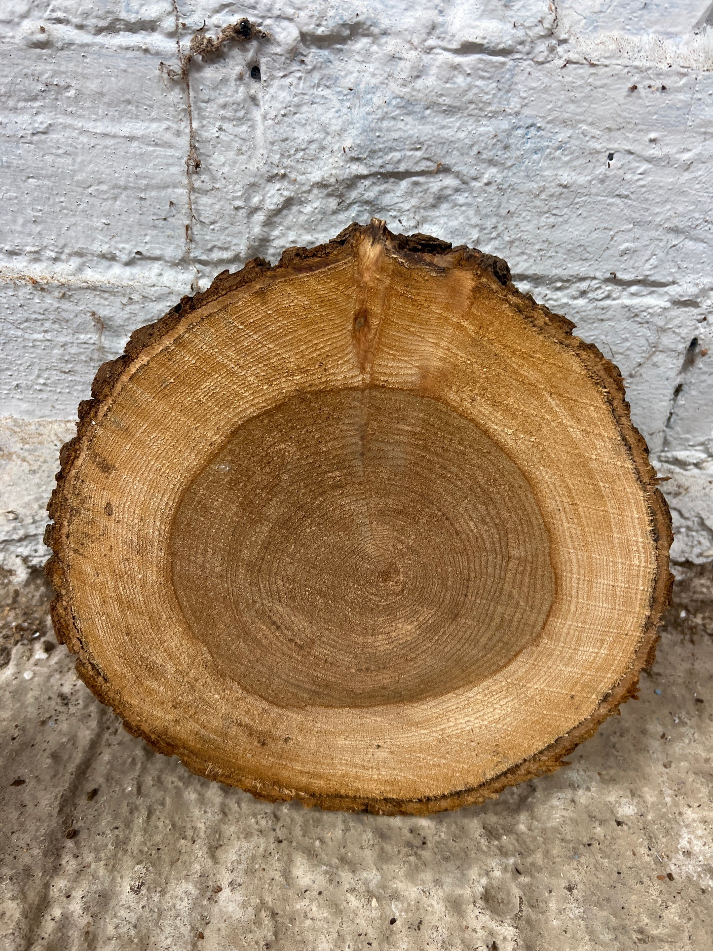 Elm No 72 - 200x220x40mm Sawn