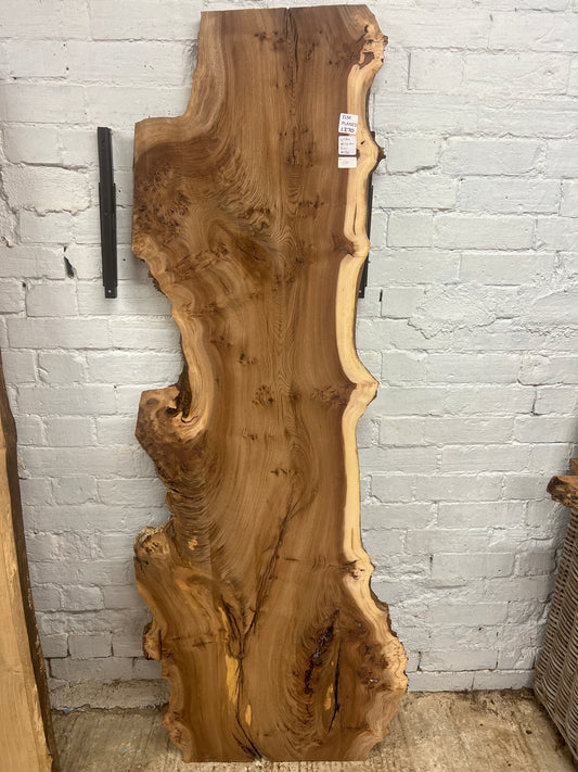 Burr Elm No 230 - 1760x340-600x30mm Planed