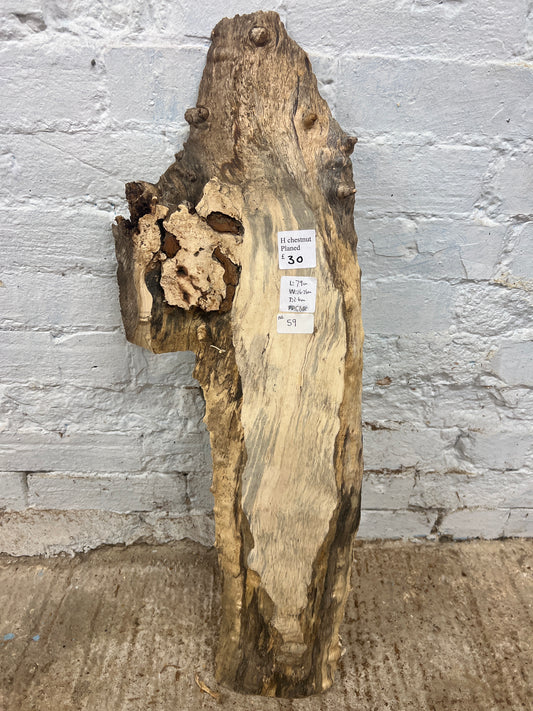 Horse Chestnut No 59 - 790x160-260x26mm Planed