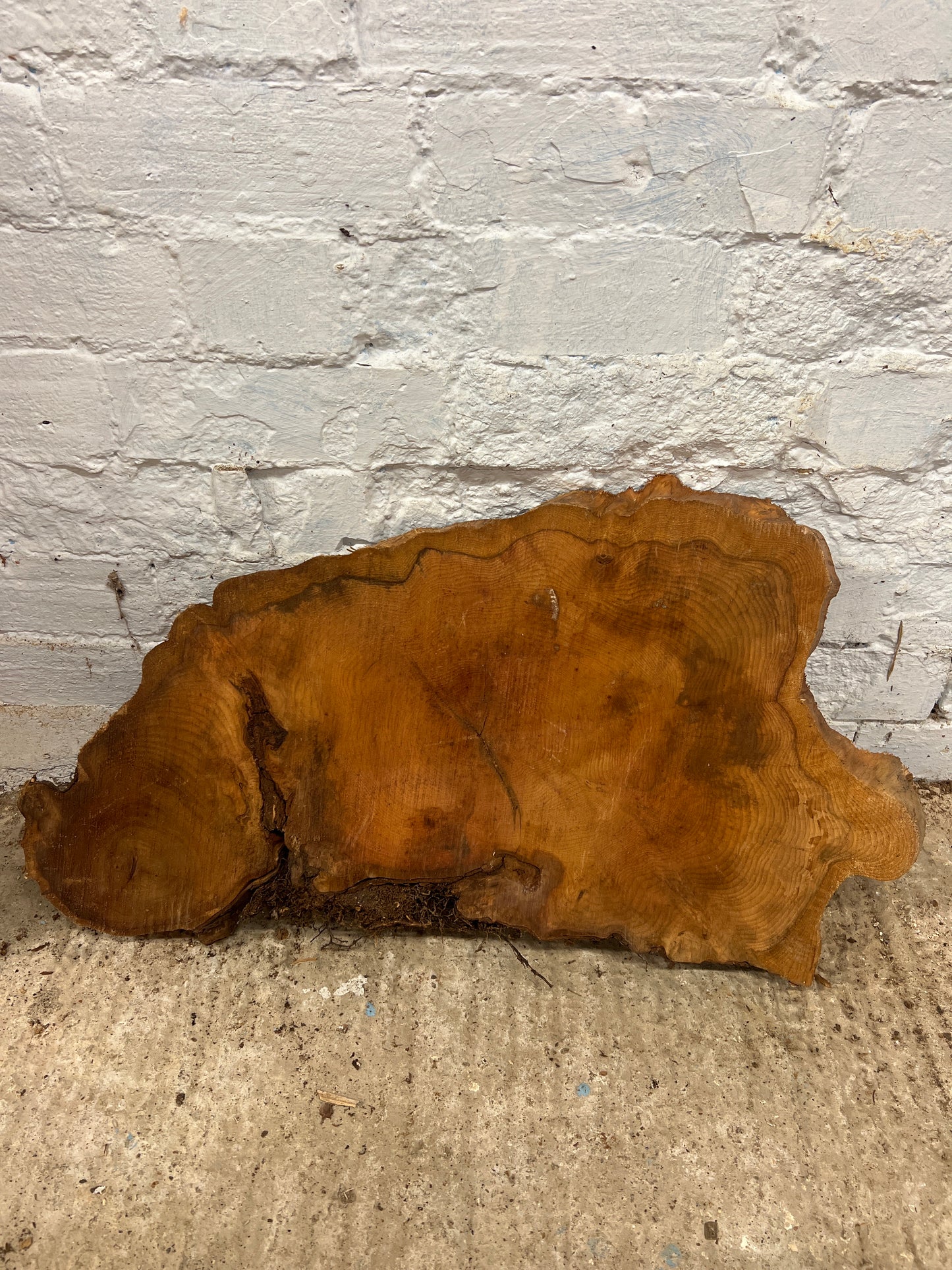 Yew No 107 - 340x620x40mm Sawn