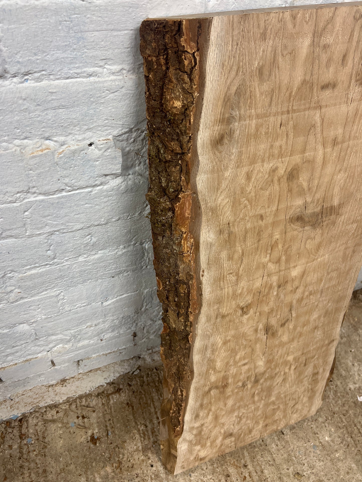 Holm Oak No 189 - 995x450-500x43mm Planed