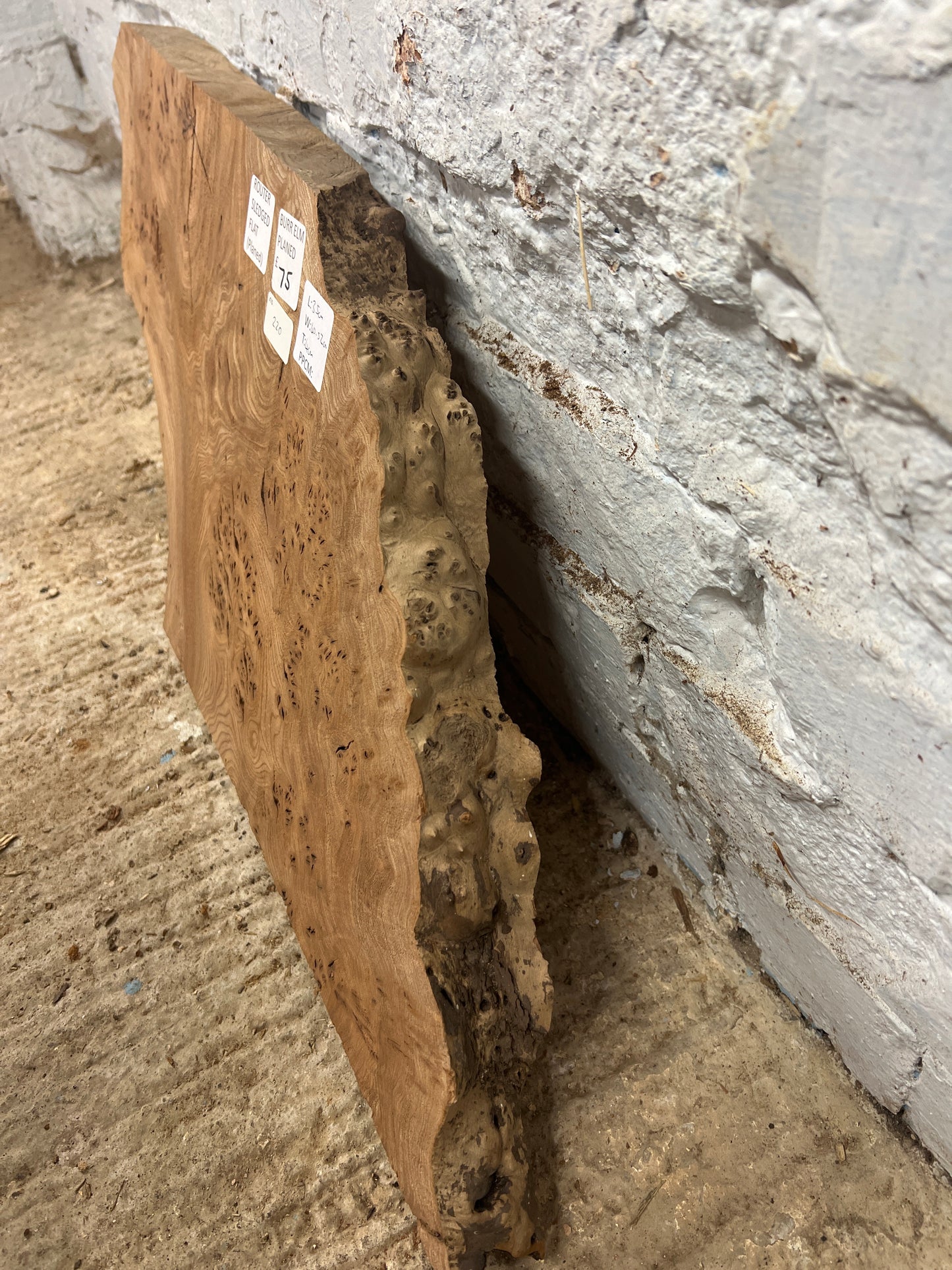 Burr Elm No 220- 350x400-520x40mm Planed