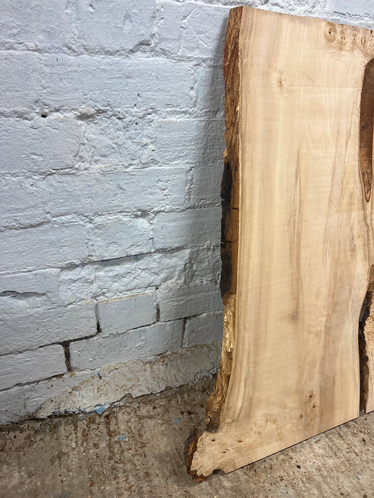 Horse Chestnut 155 - 715x540-630x20mm Planed