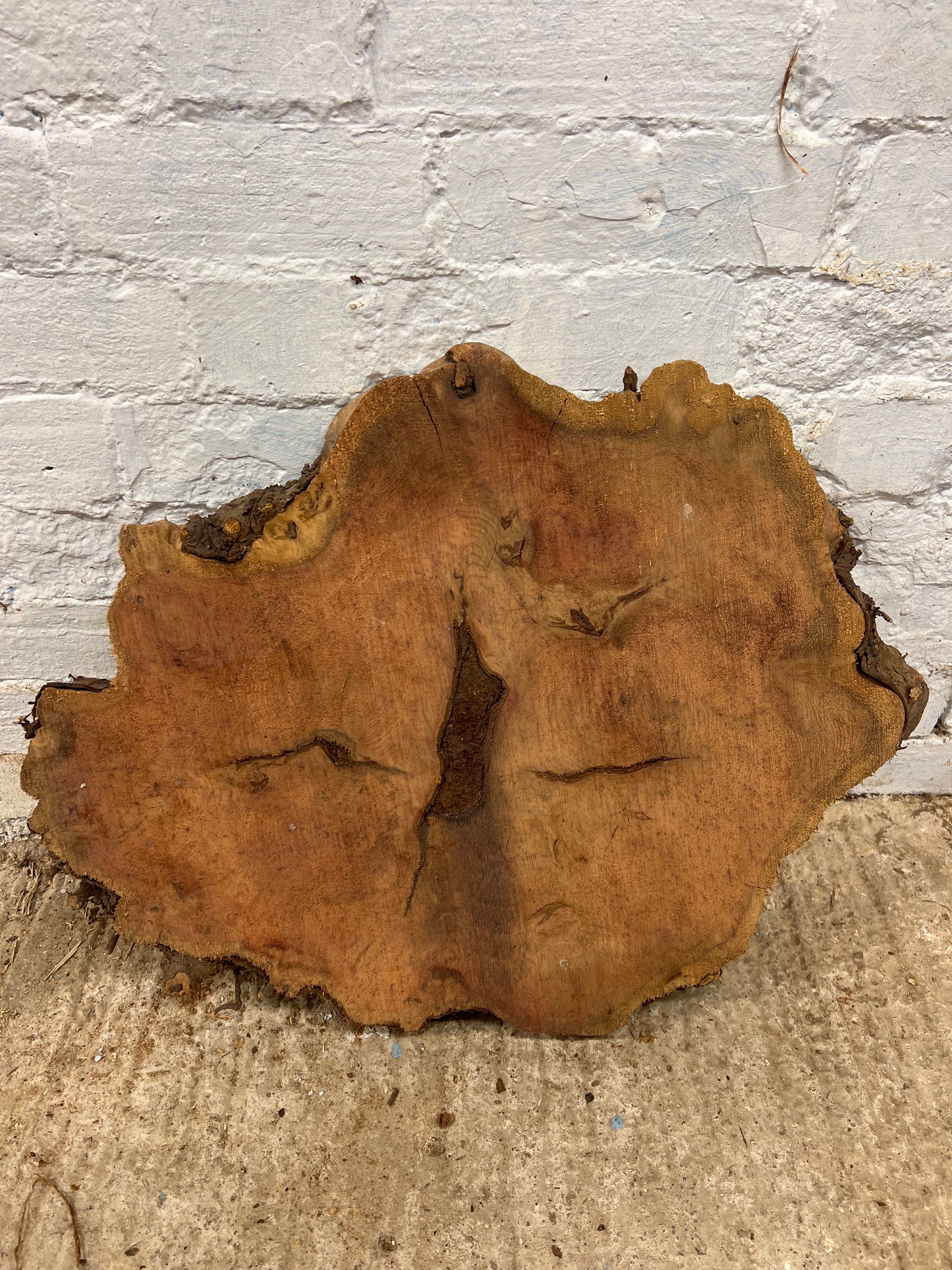 Yew No 95 - 580x470x55mm Sawn