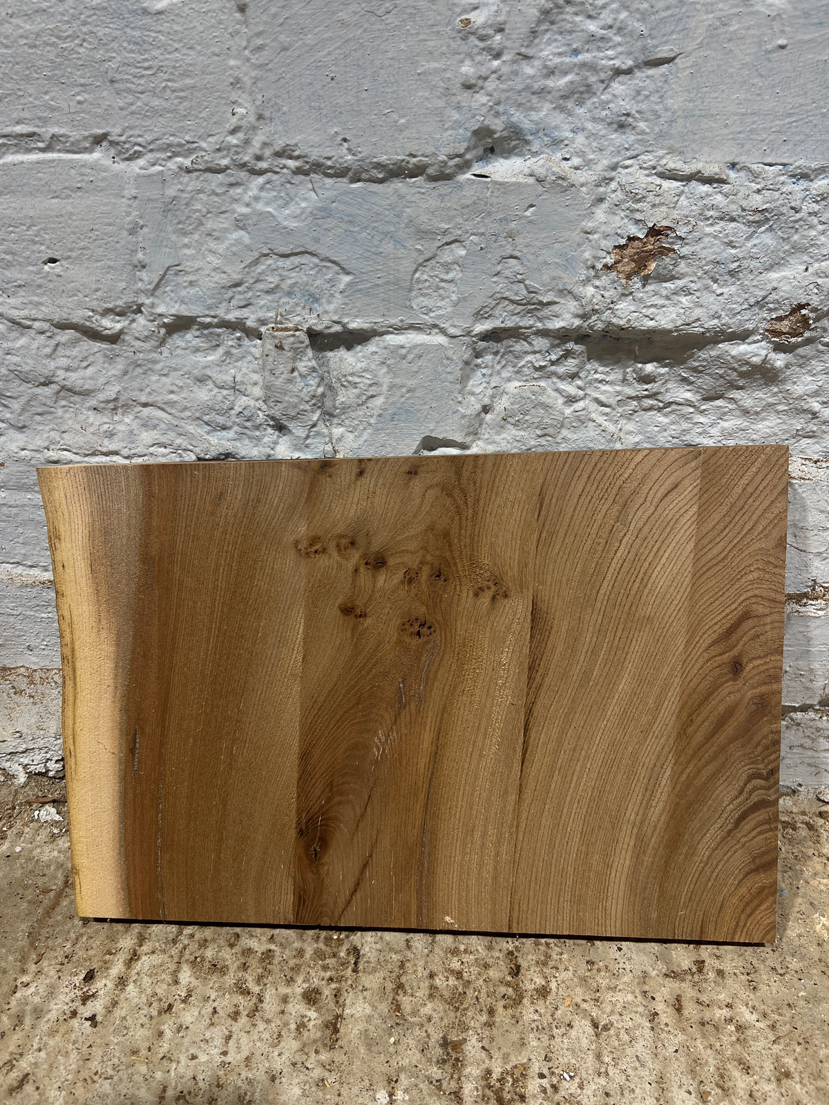 Elm No 211 - 260x400x30mm Planed