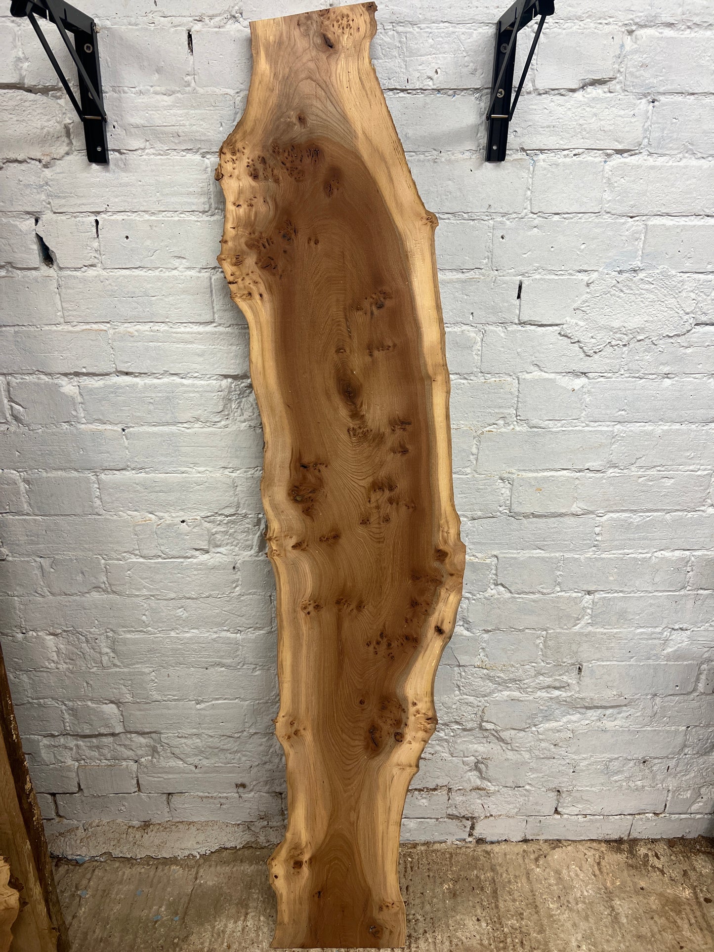 Burr Elm No 228 - 1560x160-310x25mm Planed