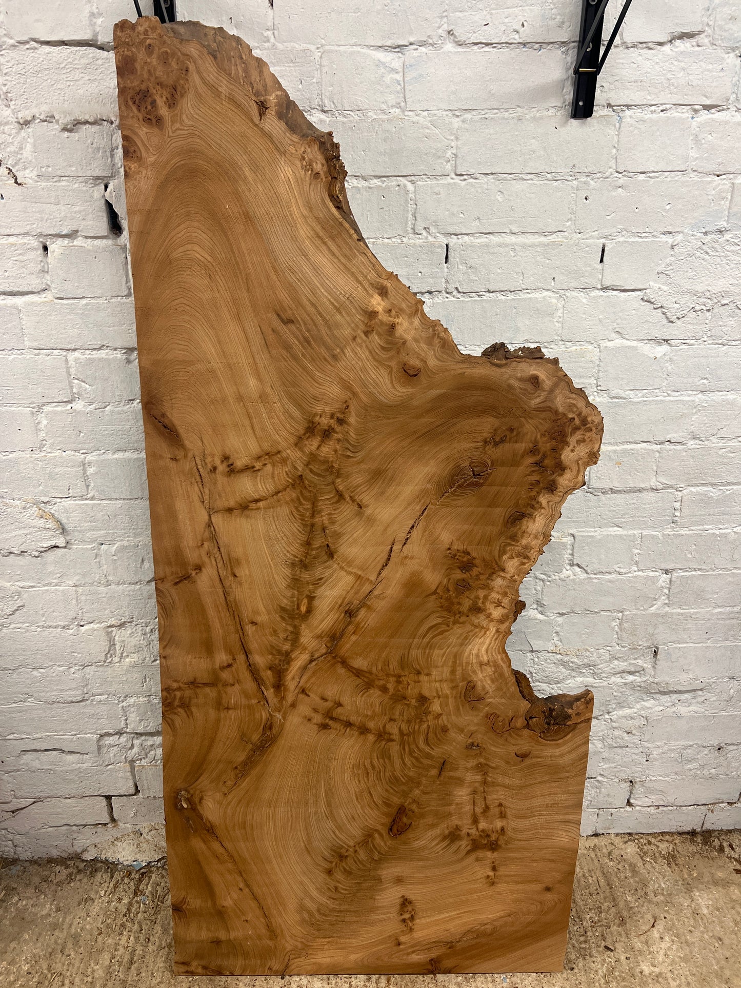 Burr Elm No 221- 1480x530-680x35mm Planed